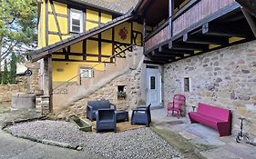 Studio Route des Vins d 'Alsace